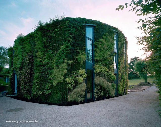La casa se integra al entorno natural y ofrece una apariencia estética Casa moderna cubierta por fuera con jardines verticales