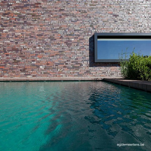 Vista de la piscina y un muro de ladrillos