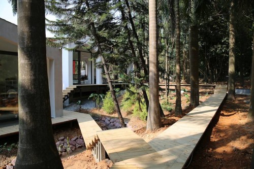 Perspectiva de las pasarelas