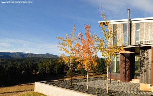 Una esquina con jardín
