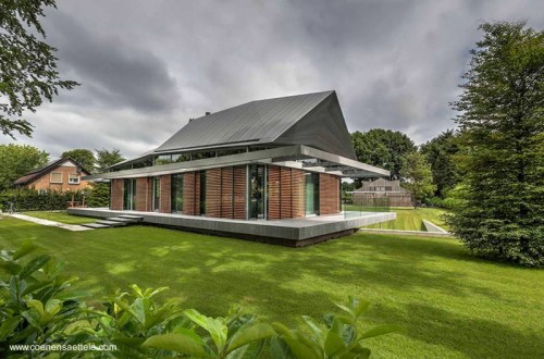 Una vista desde el nivel del parque