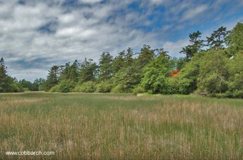 Entorno de tierras húmedas pantanal