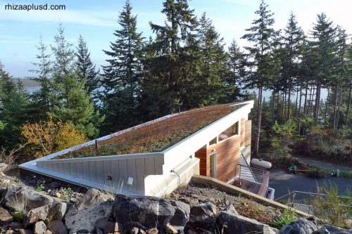 Azotea ecológica inclinada